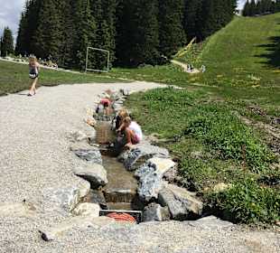 Schafalm