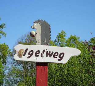 Wege in der Dauerkolonie Annateich