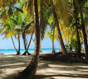 Isla Saona