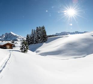 Wandern Schlern