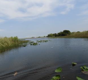 Everglades Safari Park