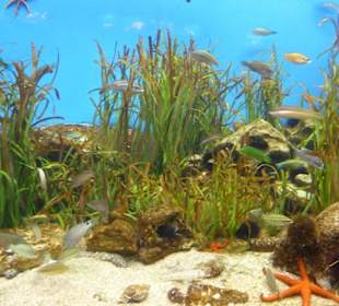 Unterschiedliche Bepflanzung