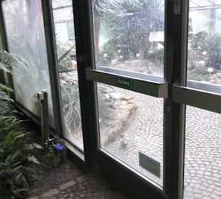 Farnhaus -  Alter Botanischer Garten