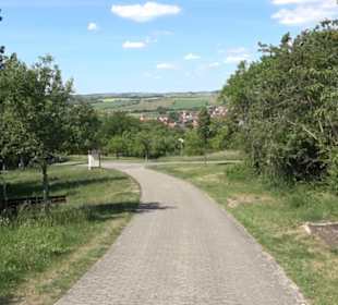Früchtetrauf - Wurmlinger Kapellenwegle