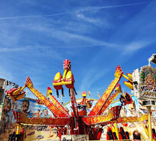 Neu auf dem Frühlingsfest