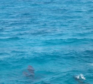 Schwimmen und spielen mit dem Schiff