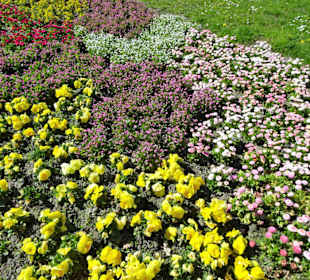 Impressionen vom Rundgang durch den Kurpark