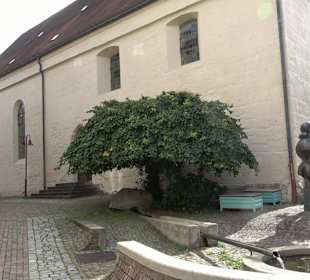 Altstadt Ellwangen