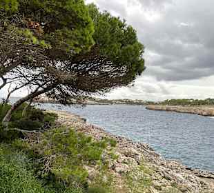 Strand Cala d'Or