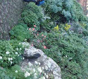 Natur pur