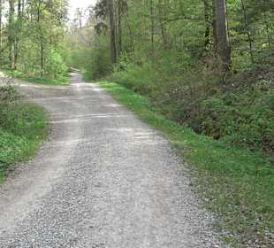 Walderlebnisweg Rottenburg