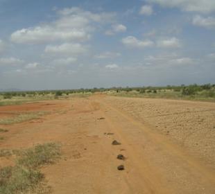 Tsavo Ost