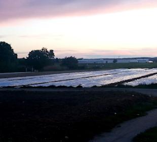 Entlang im Knoblauchsland