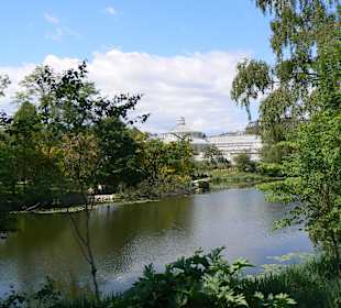 Die Gartenanlagen und der See