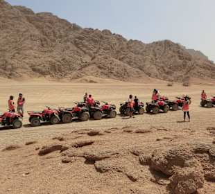 Quad Safari