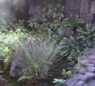 Casa Museo Monumento al Campesino