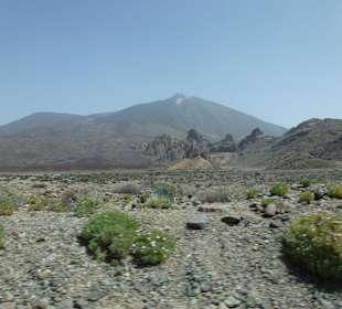 Nationalpark --> Teide