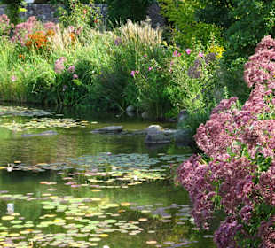 Am Teich der Gärten von Trauttmansdorff