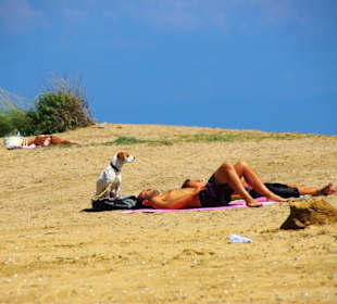 Der Hundestrand dei Pini