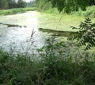 Wanderrunde Emeringen zum Rechtenstein
