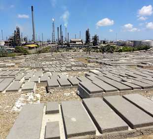 Rundgang über den Friedhof Beth Haim