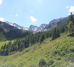 Impressionen der Wanderung zum Klaussee