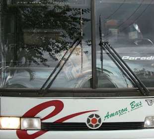 Busse in Amazonas