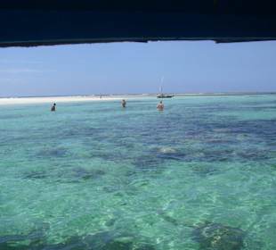 Ausflug Glasbodenboot Diani Beach