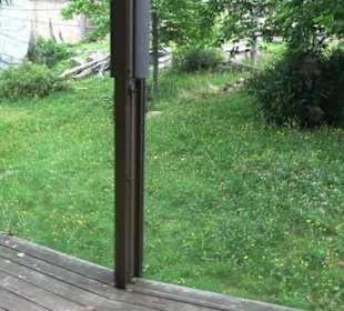 Tierpark Hellabrunn - Welt der Affen