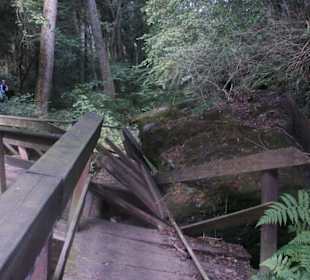Zerstörrte Holzbrücke durch Steinschlag