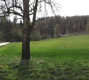Wanderweg Hochgehswiggert