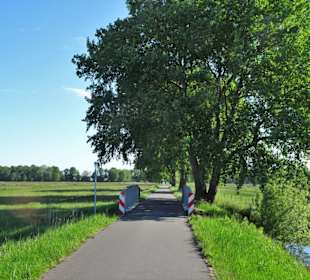 Auf dem Jan-Reiners-Weg durch das Hollerland