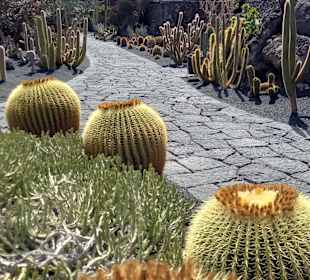 Jardin de Cactus / Kaktusgarten Guatiza