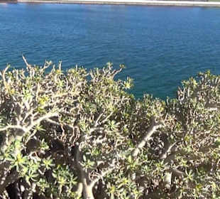 Castillo de San José