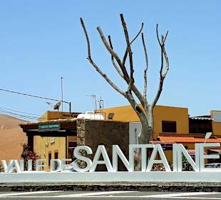 Inselrundfahrt Tagesausflug