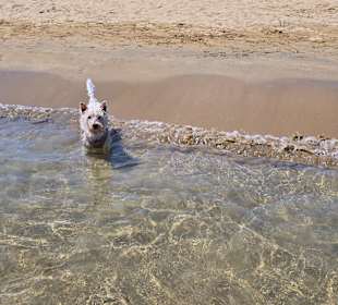 Da fühlt sich meine wohl