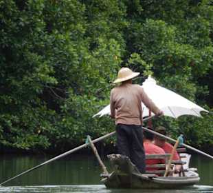 Bootstour in den Mangrovenwäldern