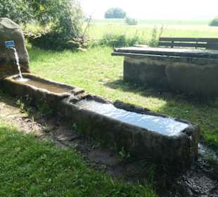 Bei der Rundwanderung Extratour Kuppenweg