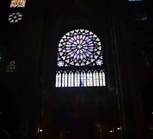 Katedra Notre Dame