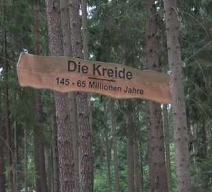 Dinosaurier Museum Altmühltal