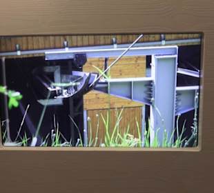 Heimatschutzzentrum in der Villa Patumbah