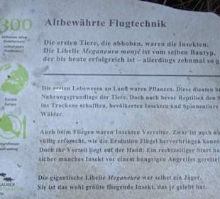 Dinosaurier Museum Altmühltal