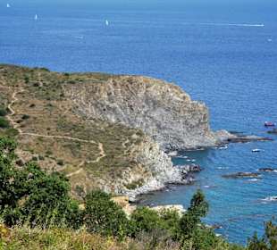 Die Felsküste zwischen Banyuls und Cerbère