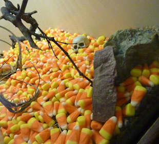 Skorpion zu Halloween