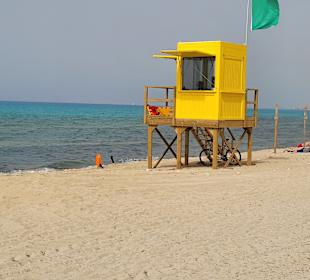 Strand Playa/Platja de Palma