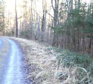 Ochsenweiher Rundweg