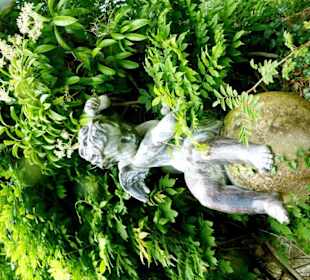 "Pausbäckchen" im Toscana-Garden