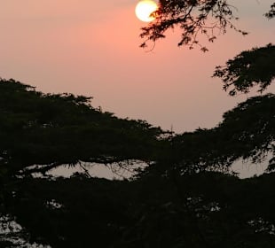 African Sundown
