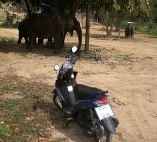 Ausflug mit dem Roller zum Elefantentrekking