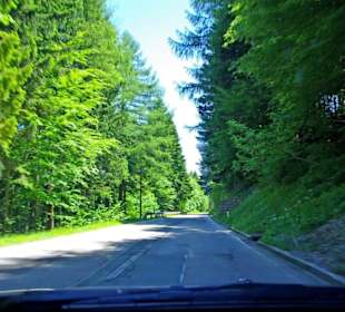 Plöckenpass 2010 die ganze Strecke